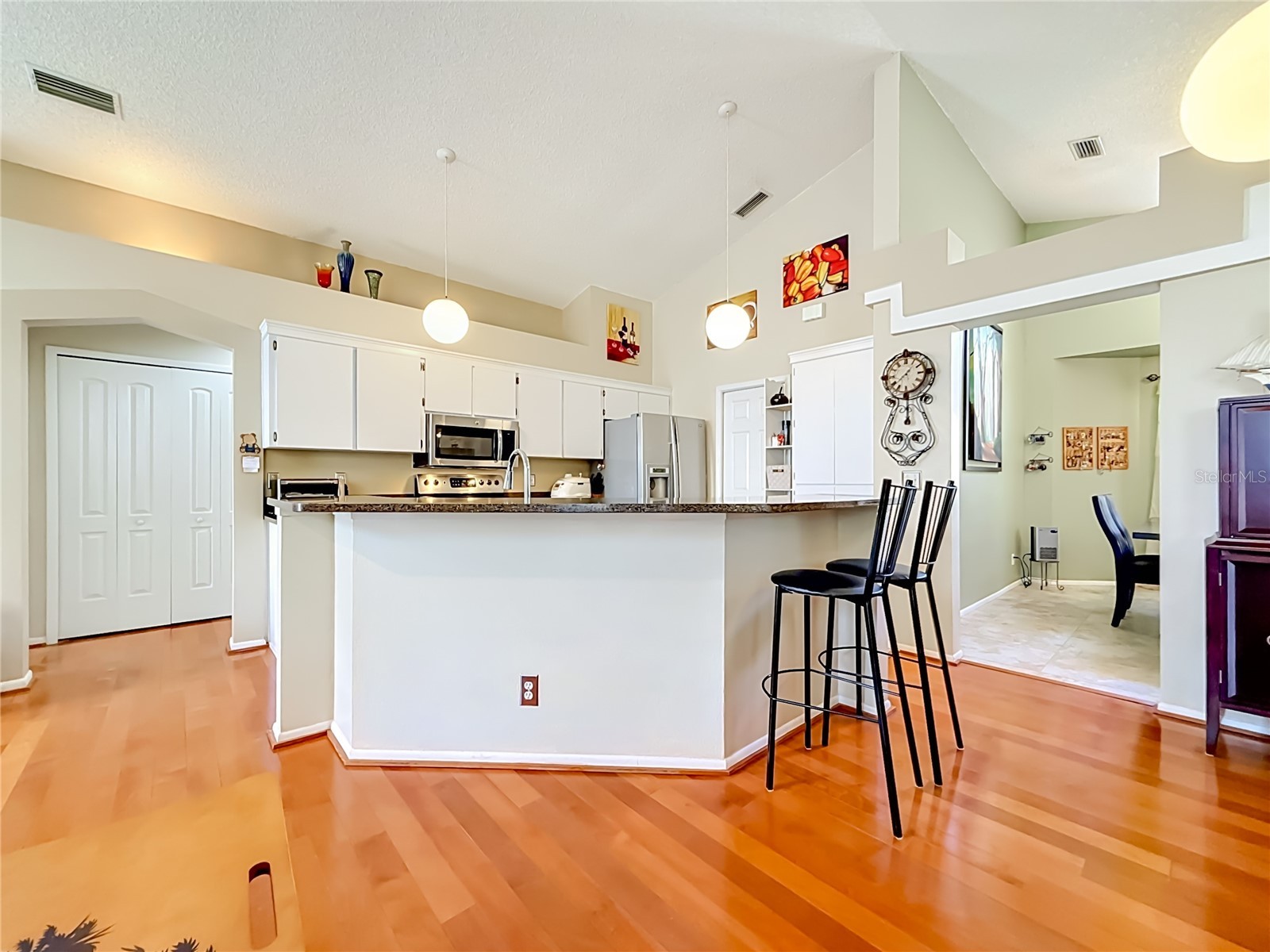 2924 Penridge Drive Palm Harbor FL 34684 TB8507480 image19
