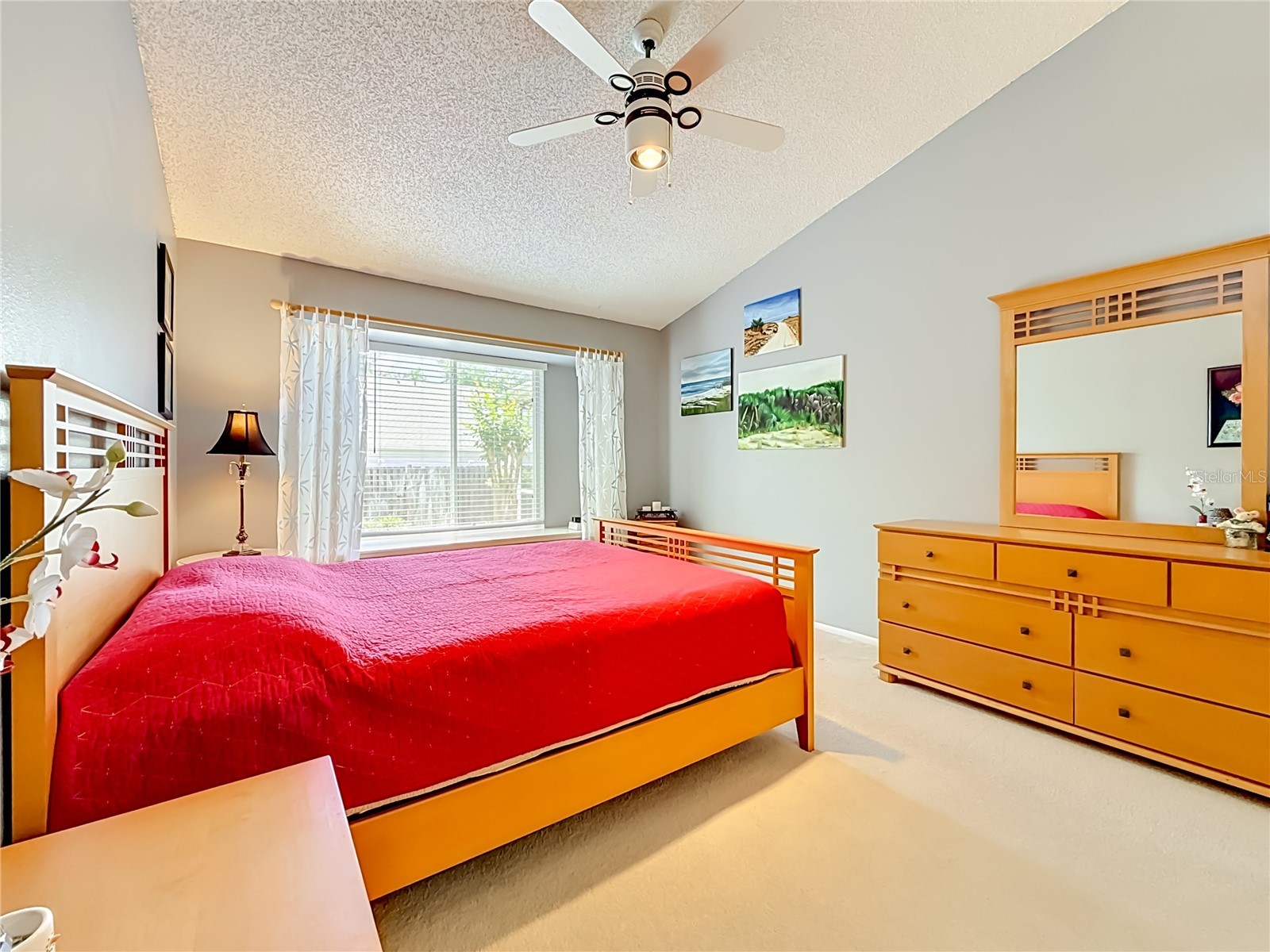 2924 Penridge Drive Palm Harbor FL 34684 TB8507480 image25
