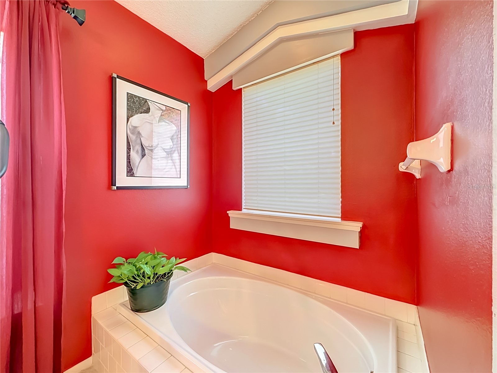 2924 Penridge Drive Palm Harbor FL 34684 TB8507480 image33
