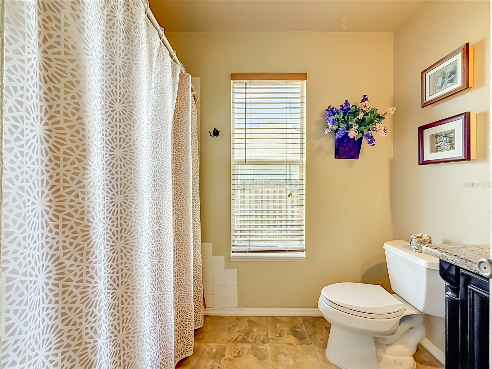 2924 Penridge Drive Palm Harbor FL 34684 TB8507480 image42
