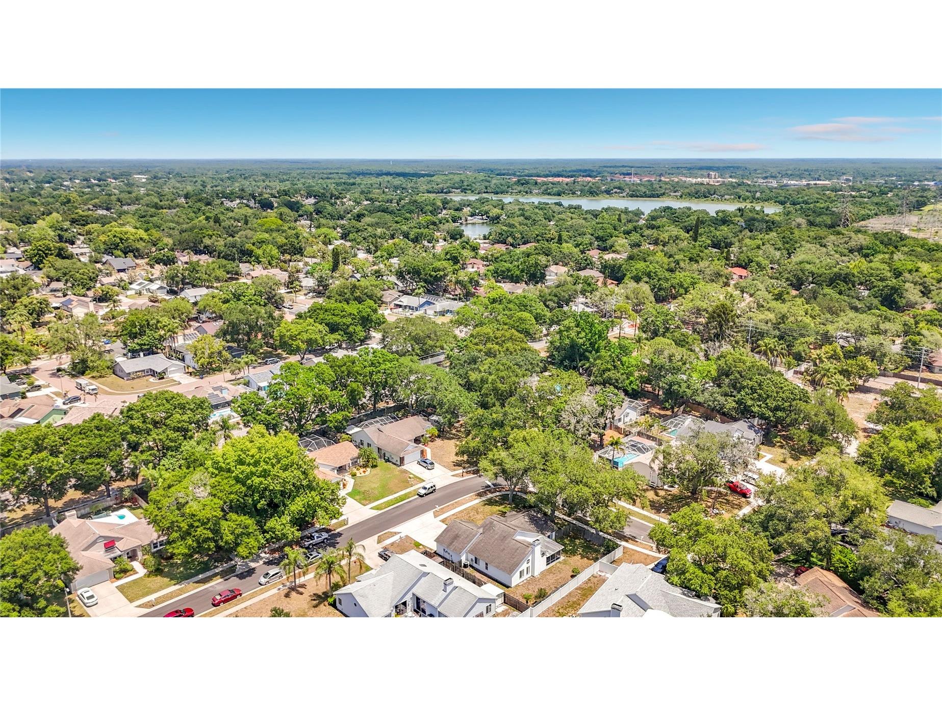 2924 Penridge Drive Palm Harbor FL 34684 TB8507480 image59