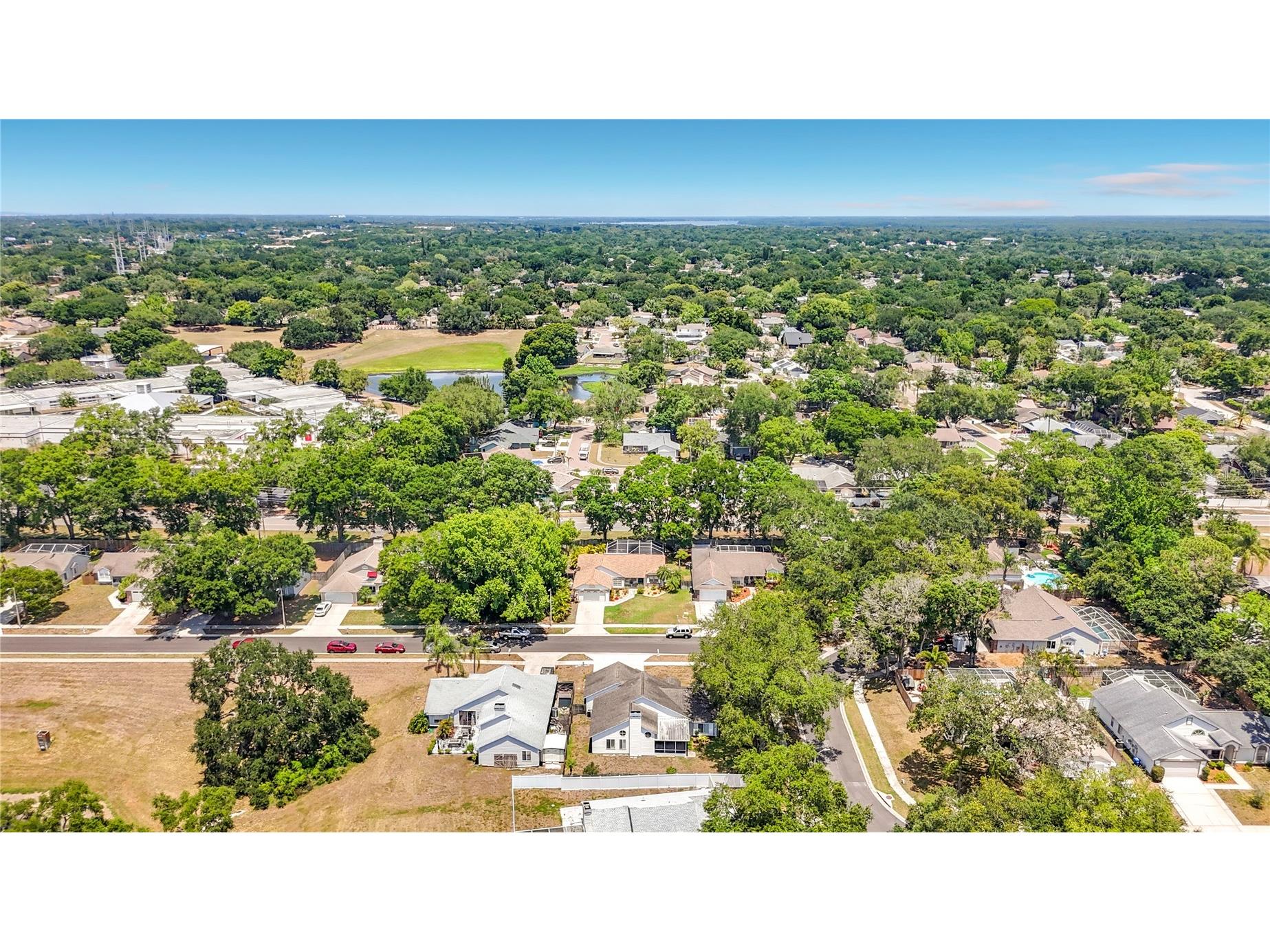 2924 Penridge Drive Palm Harbor FL 34684 TB8507480 image60