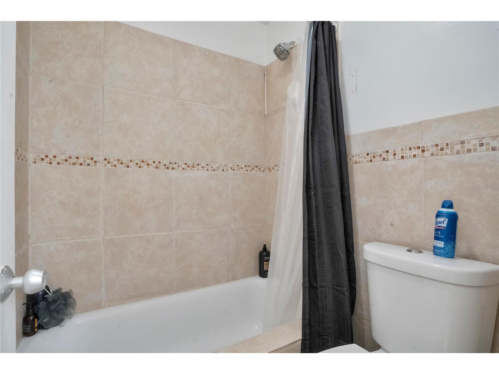2924 Pinedale Avenue Lakeland FL 33803 L4960864 image20