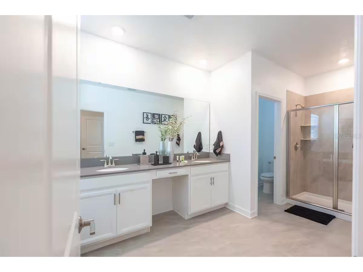 2924 Protagonist Street Kissimmee FL 34746 O6315064 image55
