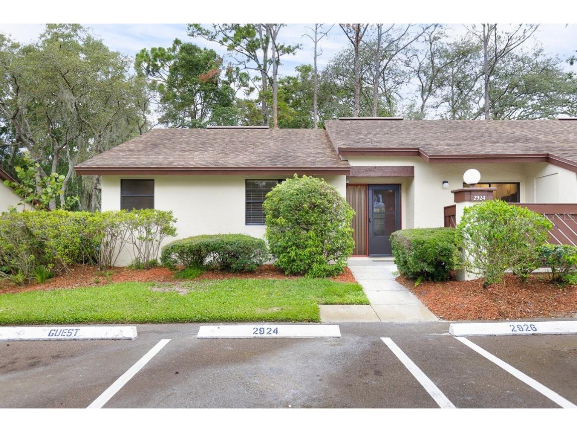 2924 Star Apple Court Palm Harbor FL 34684 U8202181 image1