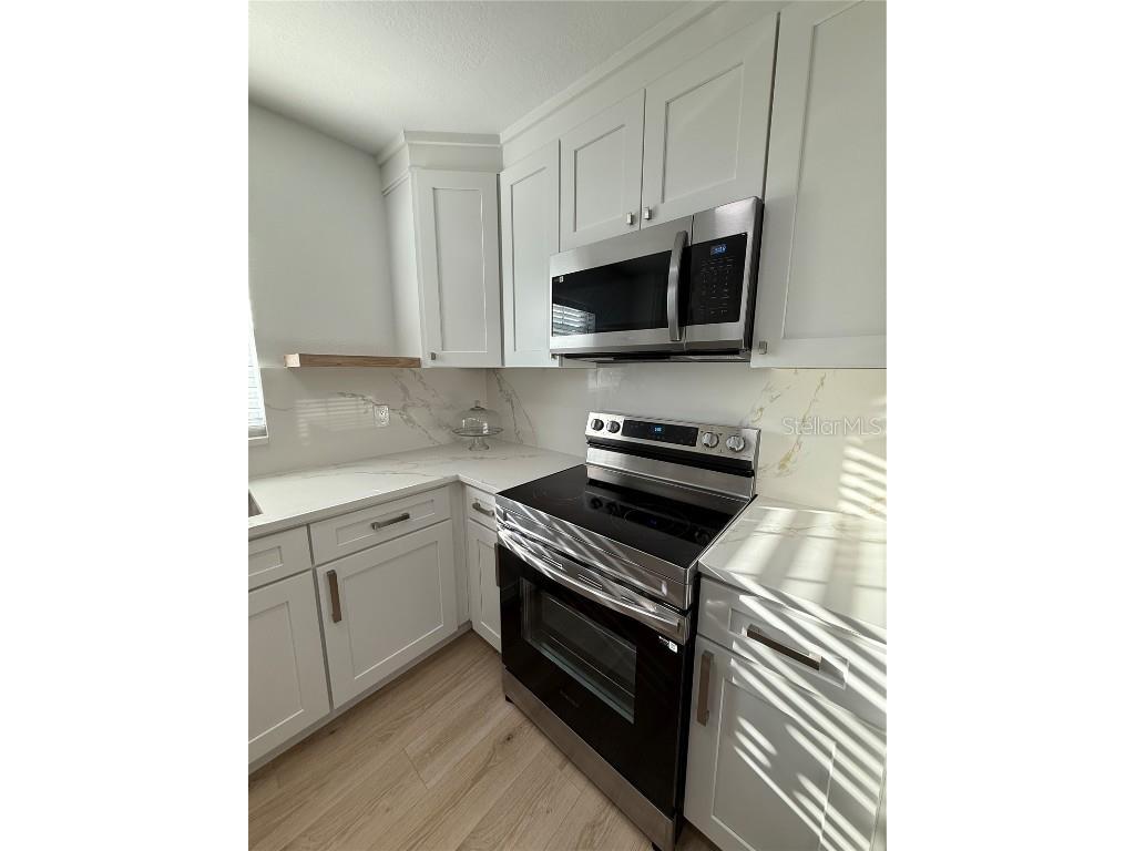 2924 W Braddock Street Tampa FL 33607 TB8444869 image4