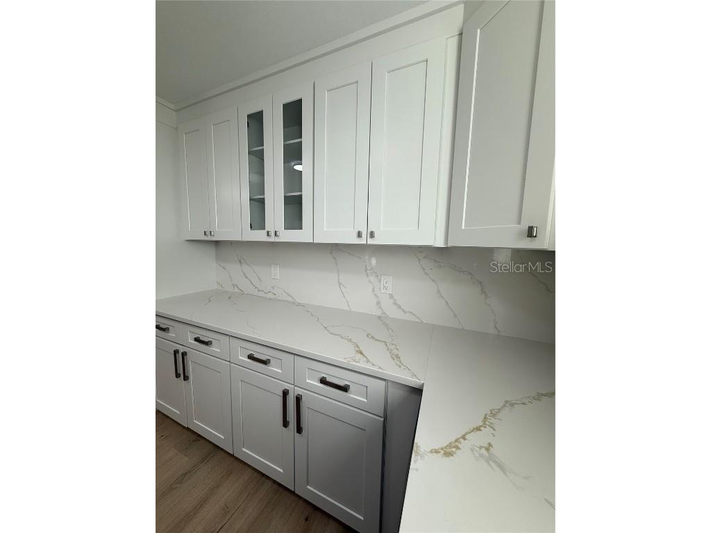 2924 W Braddock Street Tampa FL 33607 TB8444869 image6