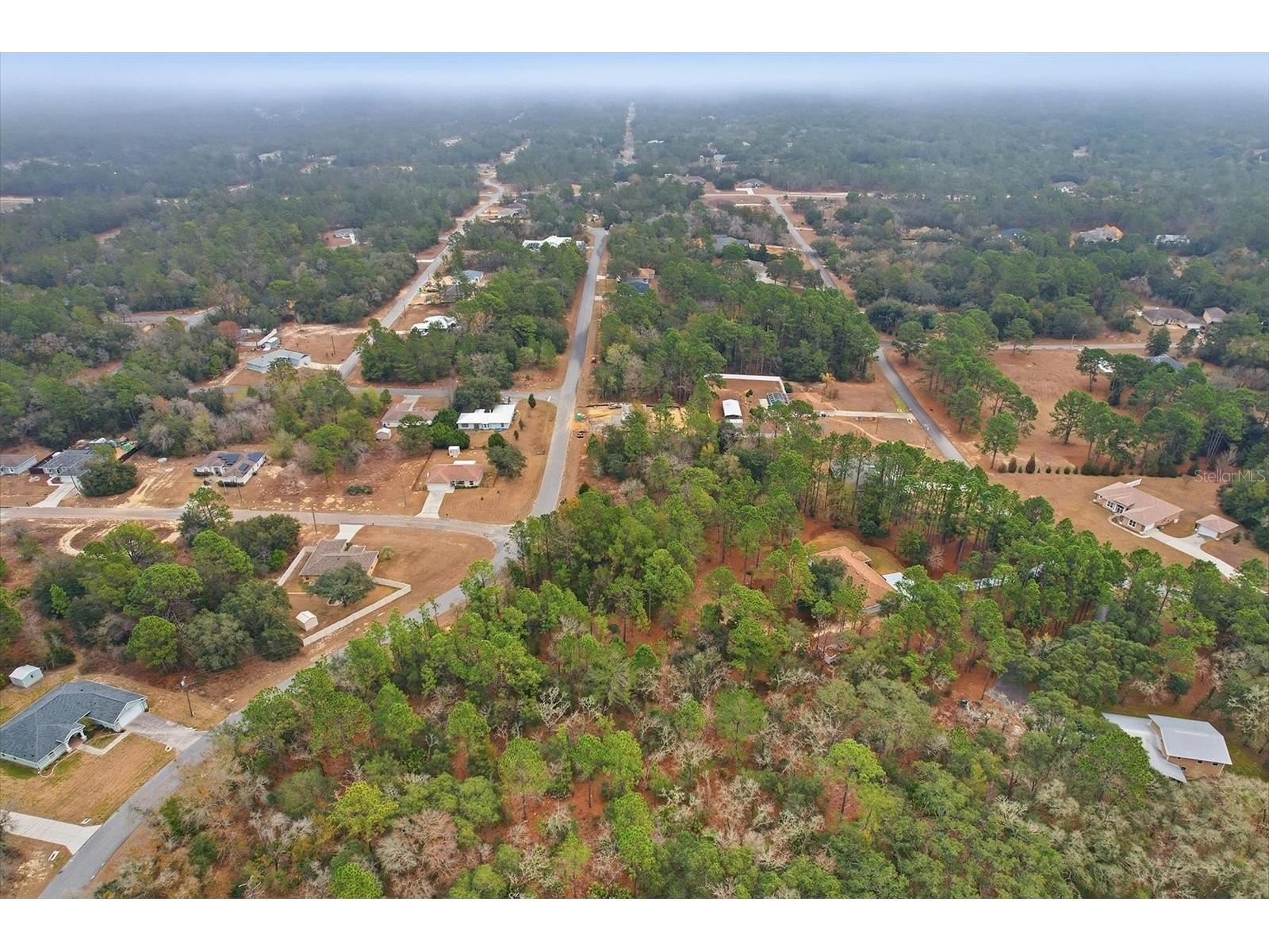 2924 W Eunice Drive Dunnellon FL 34433 TB8476087 image13
