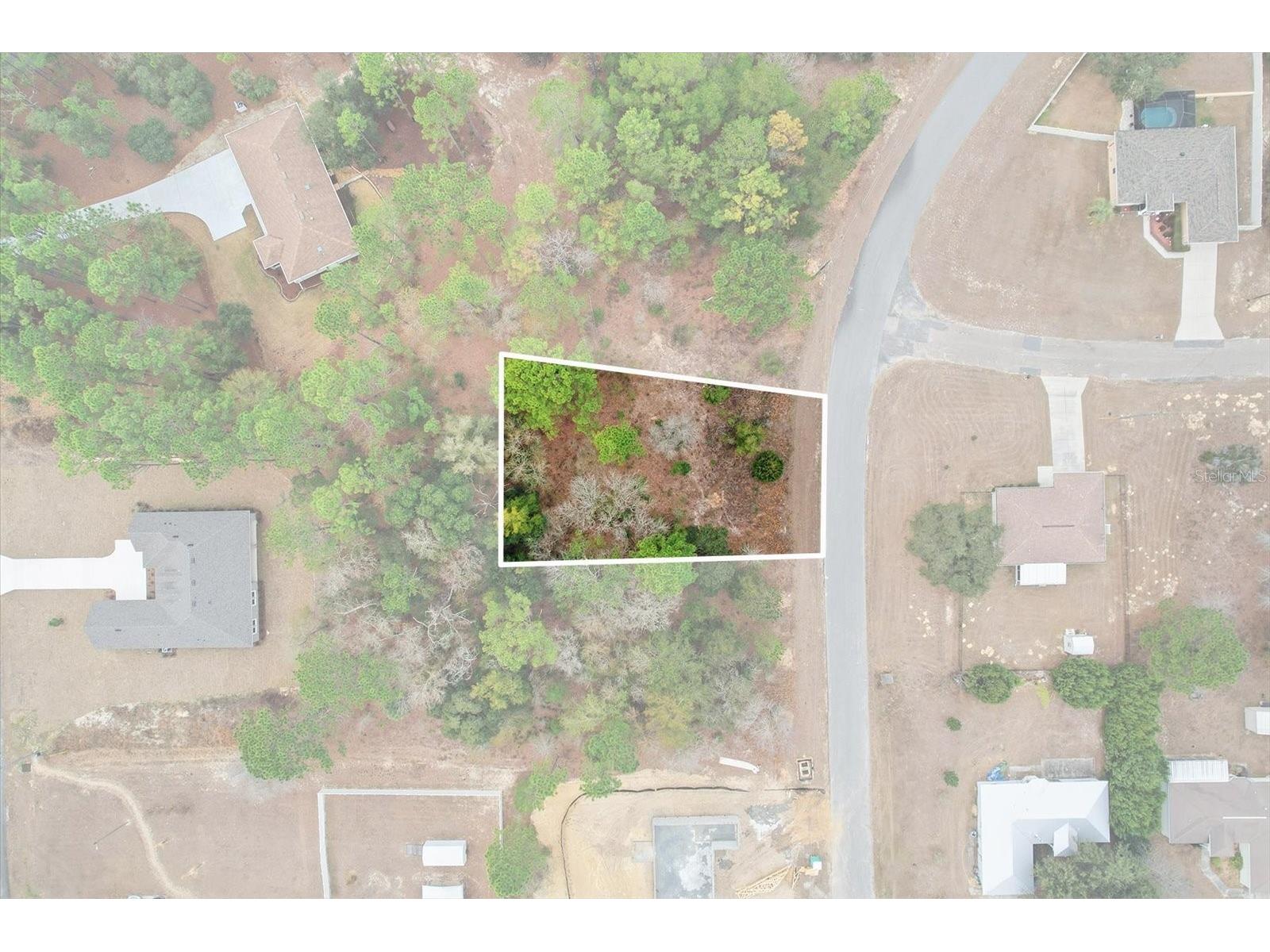 2924 W Eunice Drive Dunnellon FL 34433 TB8476087 image2