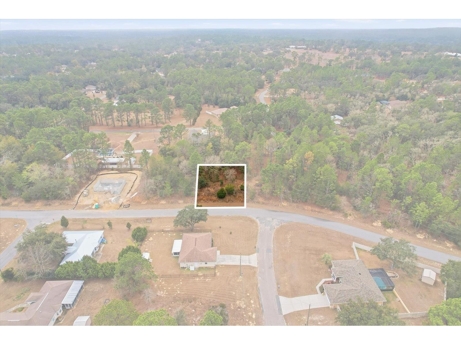2924 W Eunice Drive Dunnellon FL 34433 TB8476087 image3