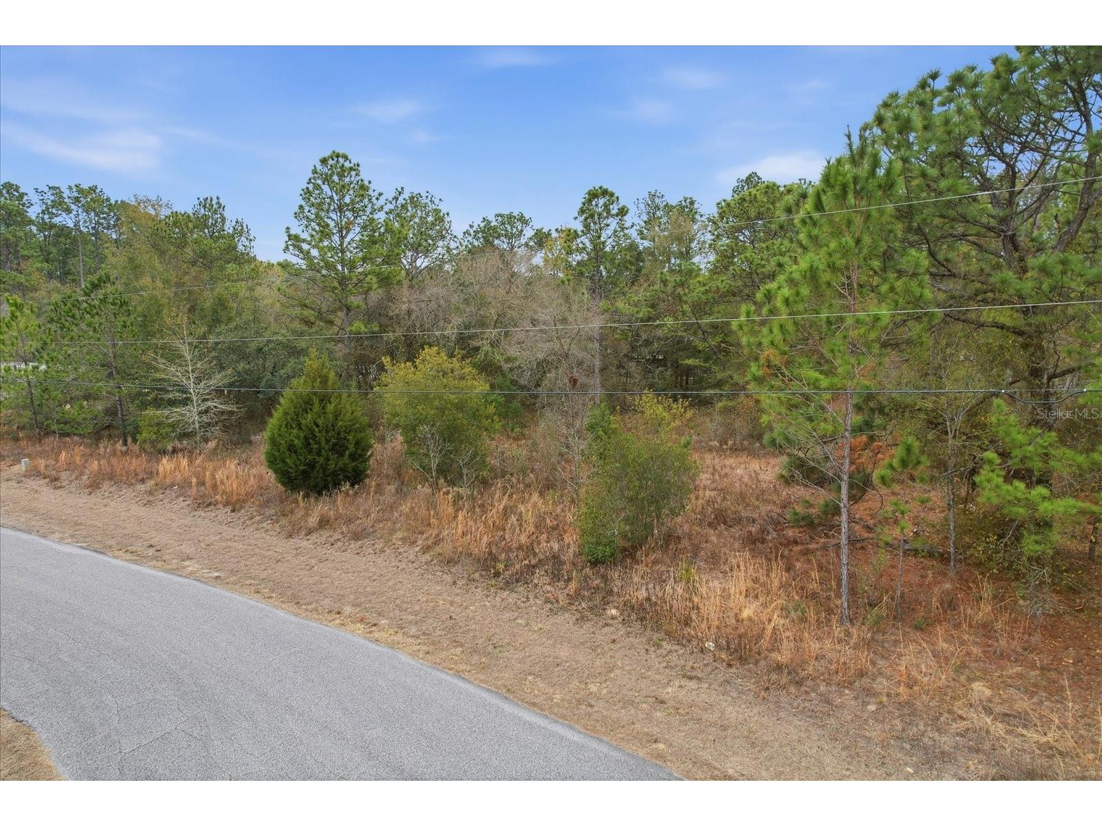 2924 W Eunice Drive Dunnellon FL 34433 TB8476087 image4