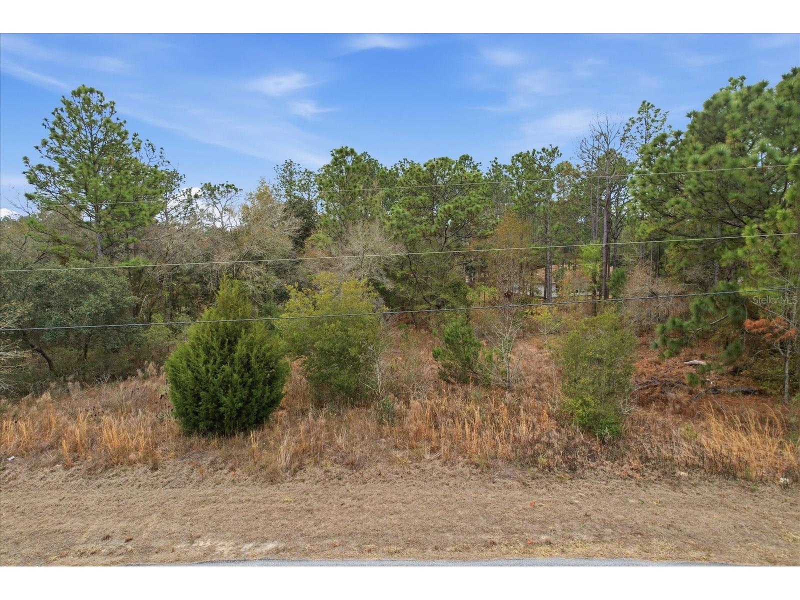 2924 W Eunice Drive Dunnellon FL 34433 TB8476087 image5