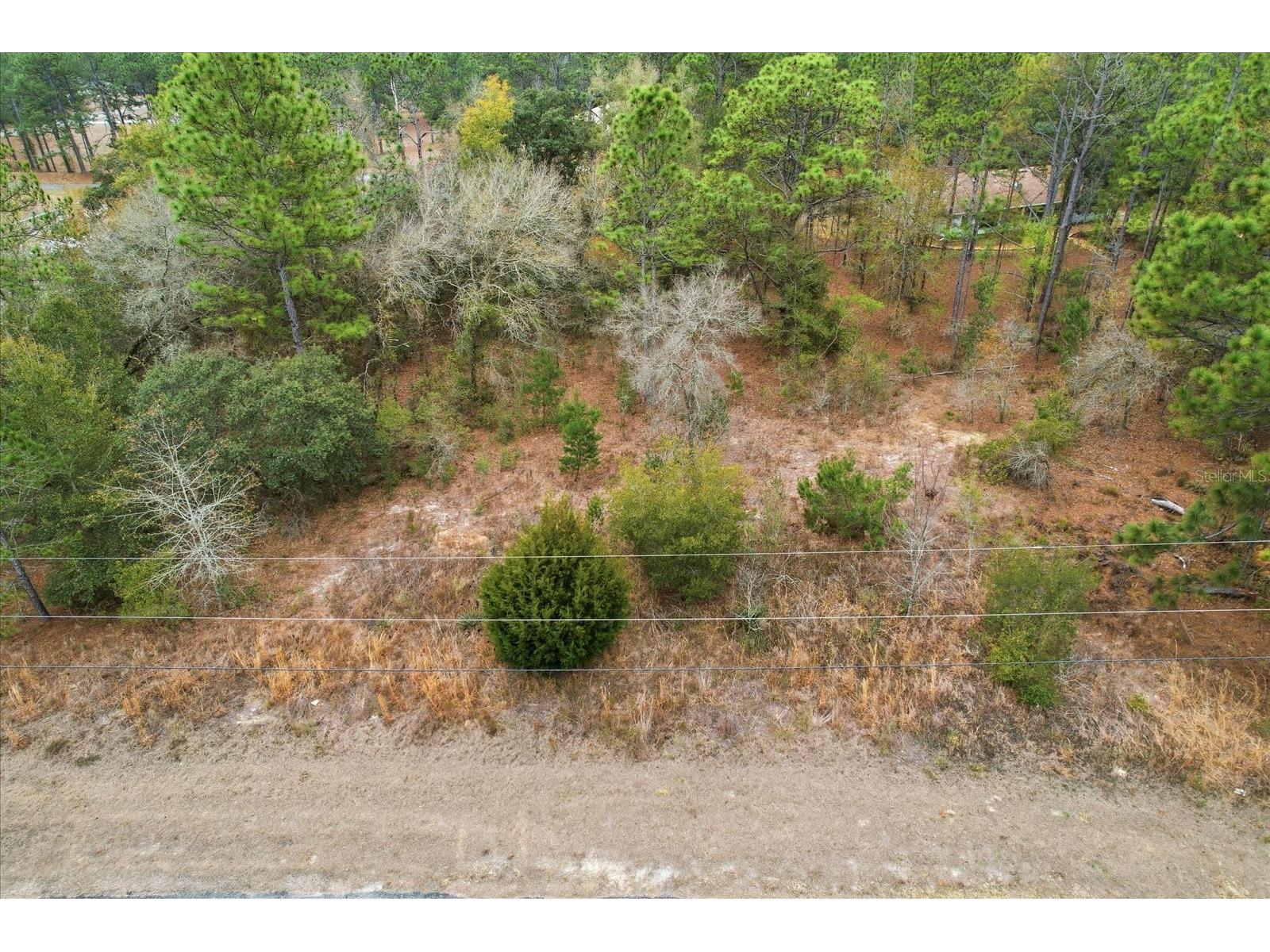 2924 W Eunice Drive Dunnellon FL 34433 TB8476087 image6
