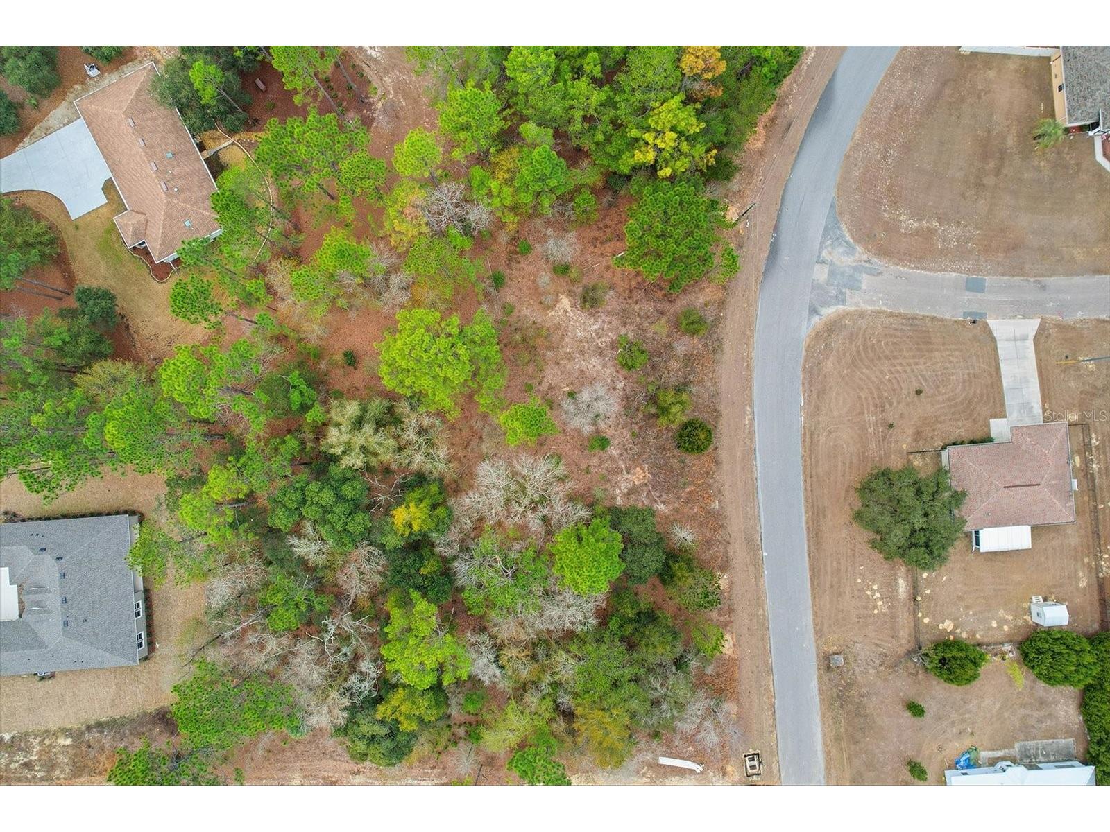 2924 W Eunice Drive Dunnellon FL 34433 TB8476087 image7
