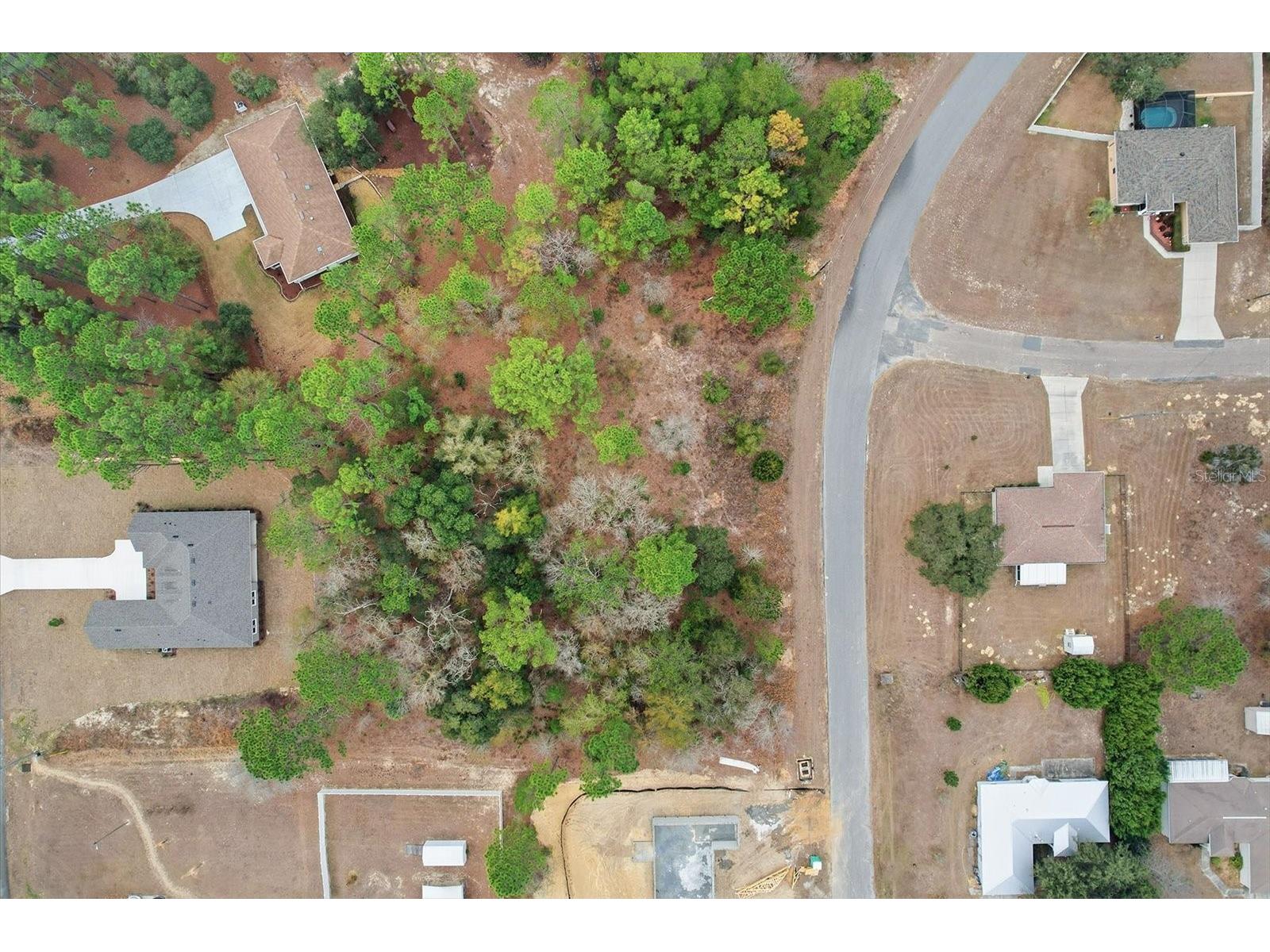 2924 W Eunice Drive Dunnellon FL 34433 TB8476087 image9