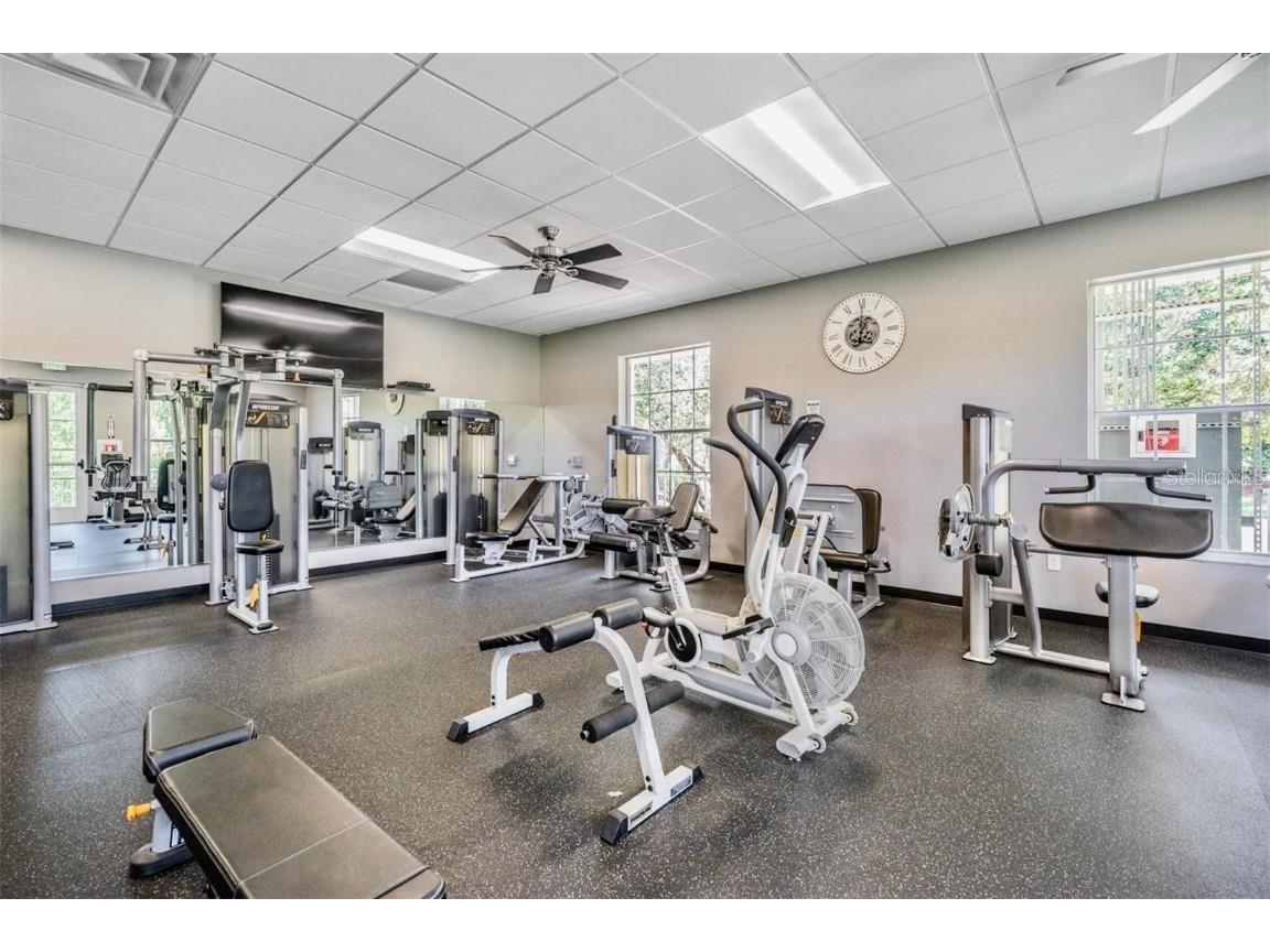 29241 Kapalua Way San Antonio FL 33576 W7881116 image37