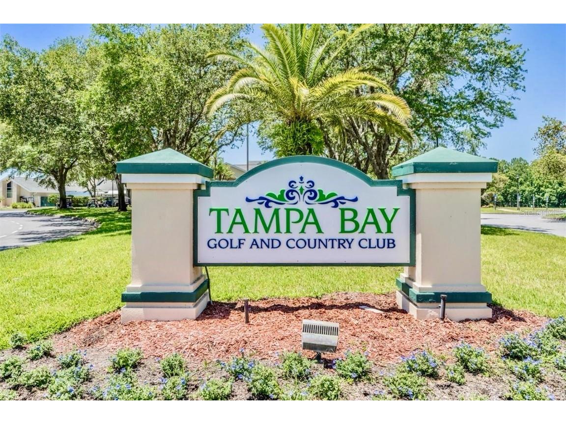 29241 Kapalua Way San Antonio FL 33576 W7881116 image4