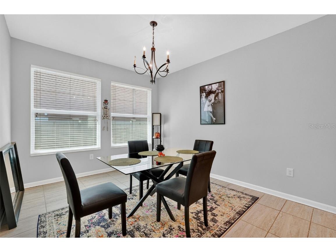 29241 Perilli Place Wesley Chapel FL 33543 TB8427460 image19