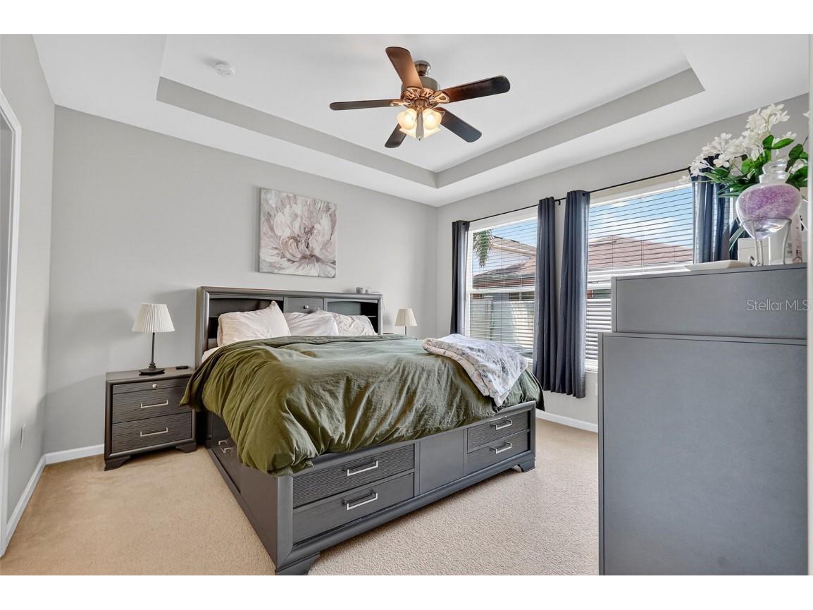 29241 Perilli Place Wesley Chapel FL 33543 TB8427460 image23