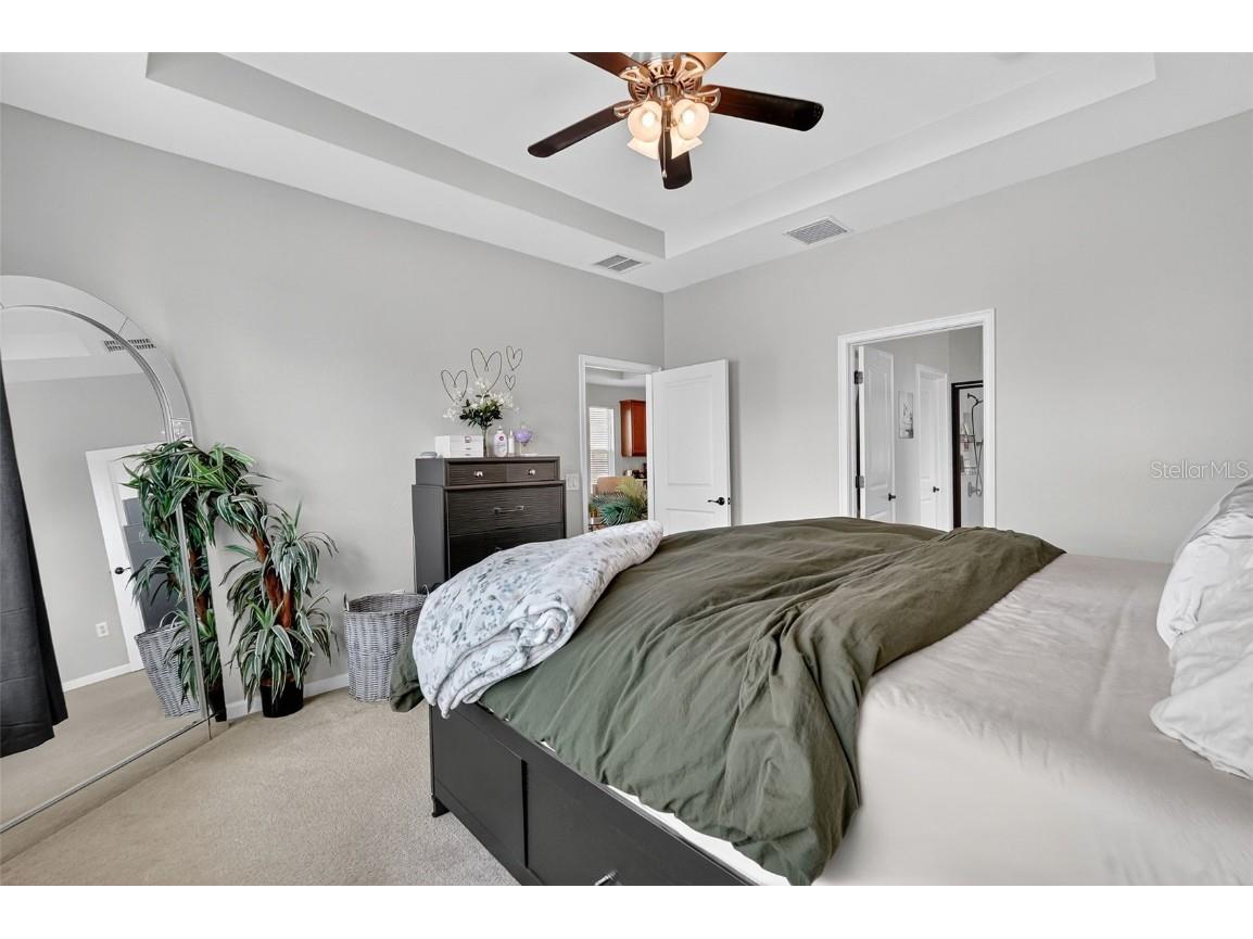 29241 Perilli Place Wesley Chapel FL 33543 TB8427460 image24