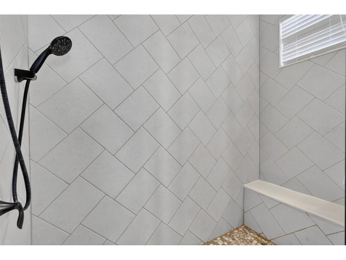 29241 Perilli Place Wesley Chapel FL 33543 TB8427460 image27