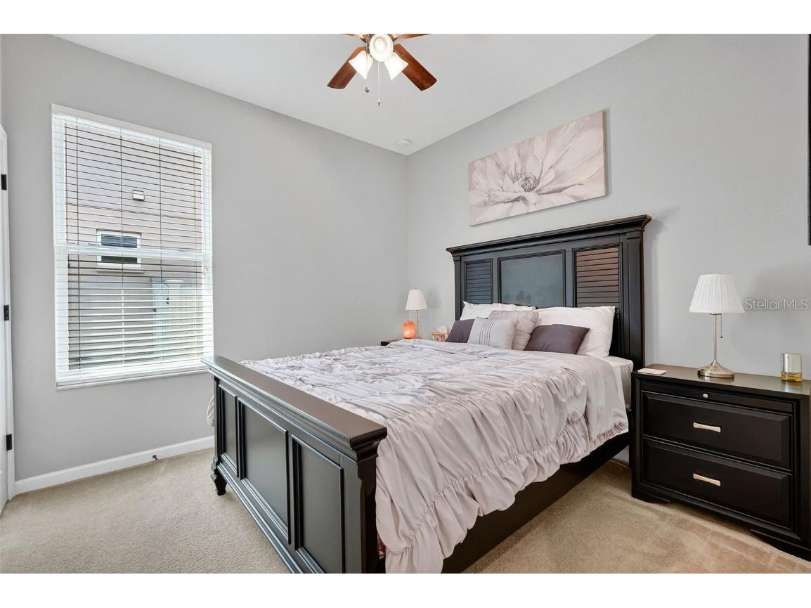 29241 Perilli Place Wesley Chapel FL 33543 TB8427460 image30