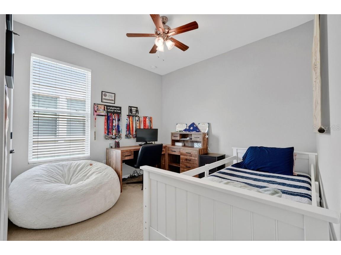 29241 Perilli Place Wesley Chapel FL 33543 TB8427460 image32