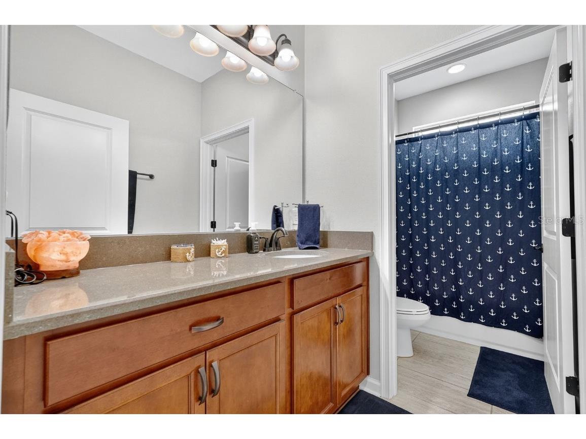 29241 Perilli Place Wesley Chapel FL 33543 TB8427460 image33