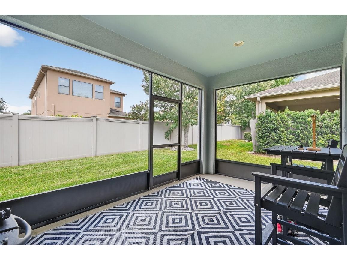 29241 Perilli Place Wesley Chapel FL 33543 TB8427460 image37