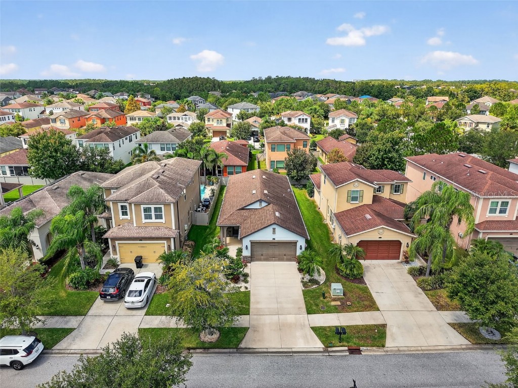 29241 Perilli Place Wesley Chapel FL 33543 TB8427460 image41