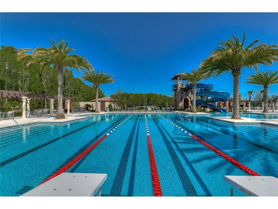 29241 Perilli Place Wesley Chapel FL 33543 TB8427460 image46