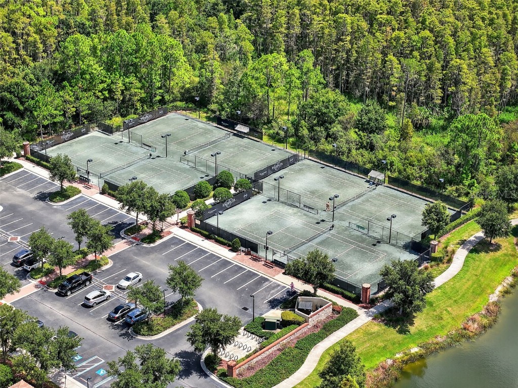 29241 Perilli Place Wesley Chapel FL 33543 TB8427460 image49