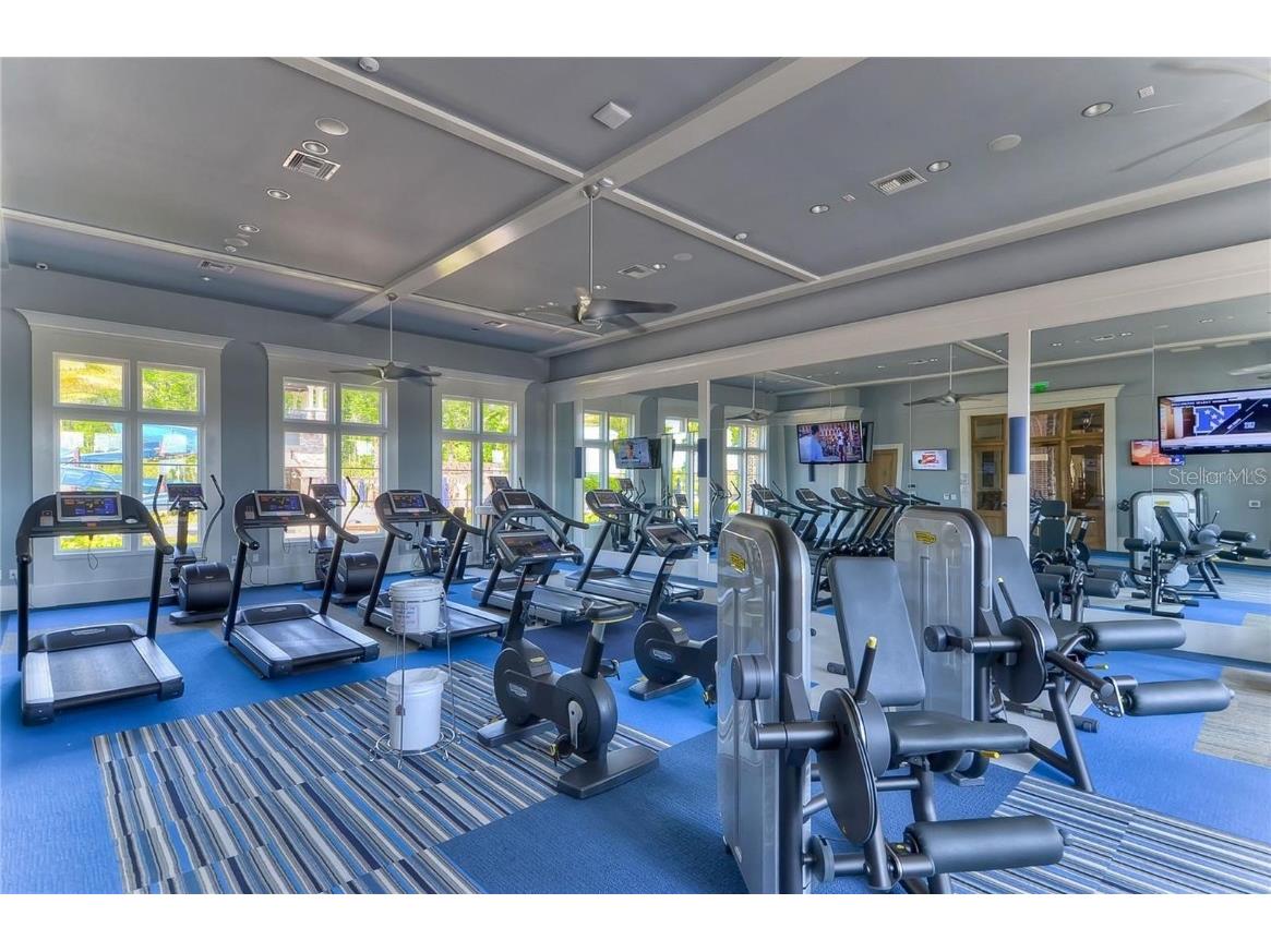 29241 Perilli Place Wesley Chapel FL 33543 TB8427460 image55