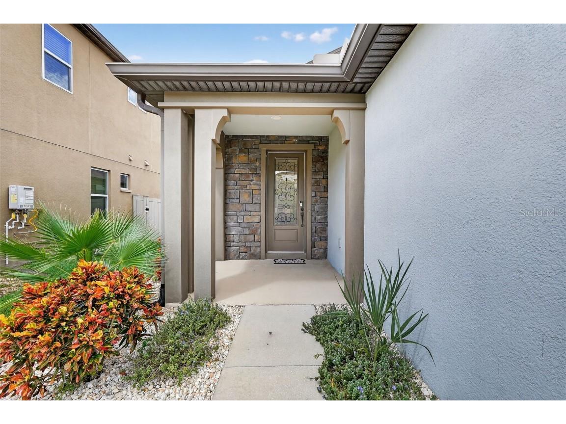 29241 Perilli Place Wesley Chapel FL 33543 TB8427460 image6