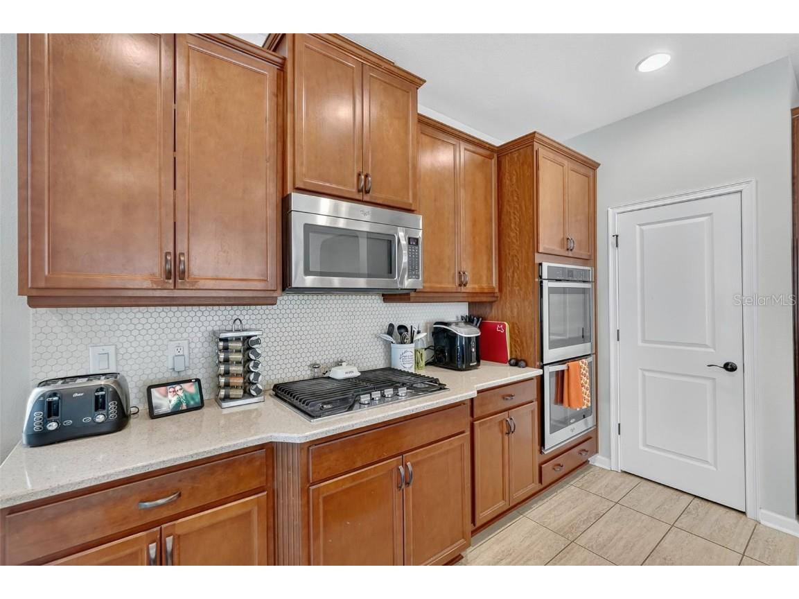 29241 Perilli Place Wesley Chapel FL 33543 TB8427460 image9