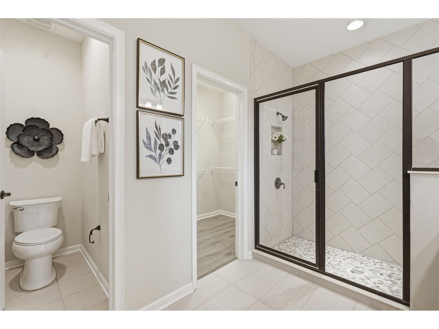 29241 Perilli Place Wesley Chapel FL 33543 TB8507960 image19