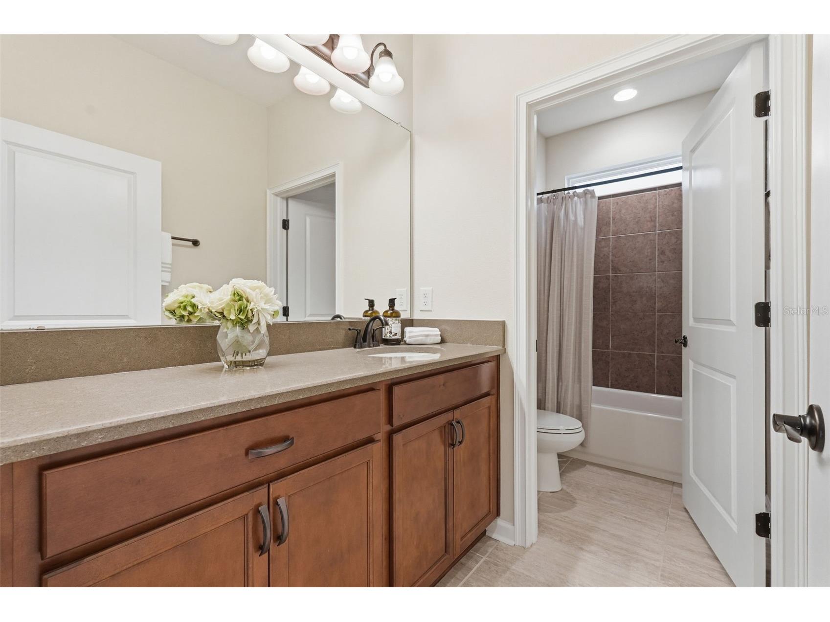 29241 Perilli Place Wesley Chapel FL 33543 TB8507960 image24