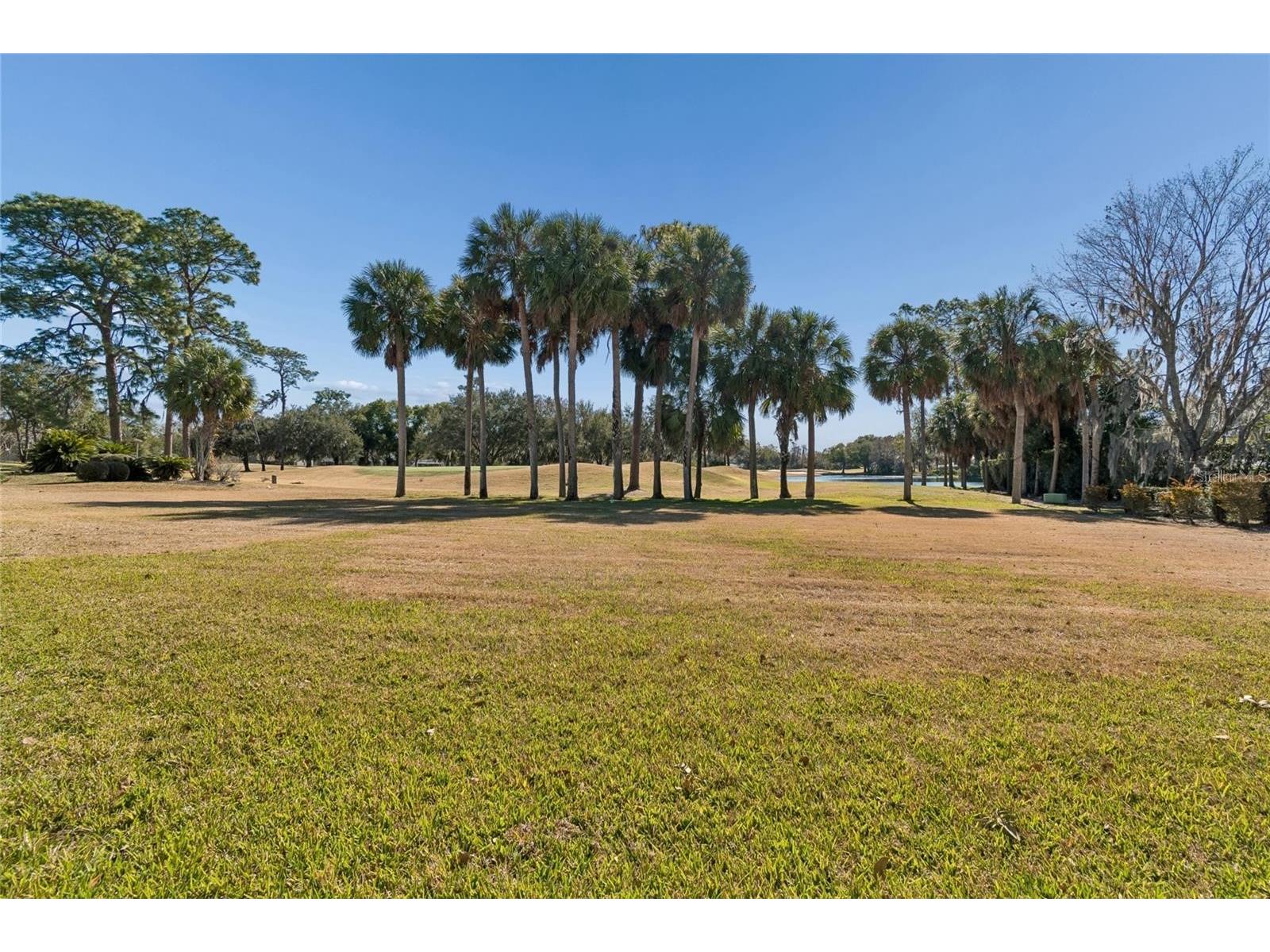 29244 Whipporwill Lane Wesley Chapel FL 33543 TB8503701 image4