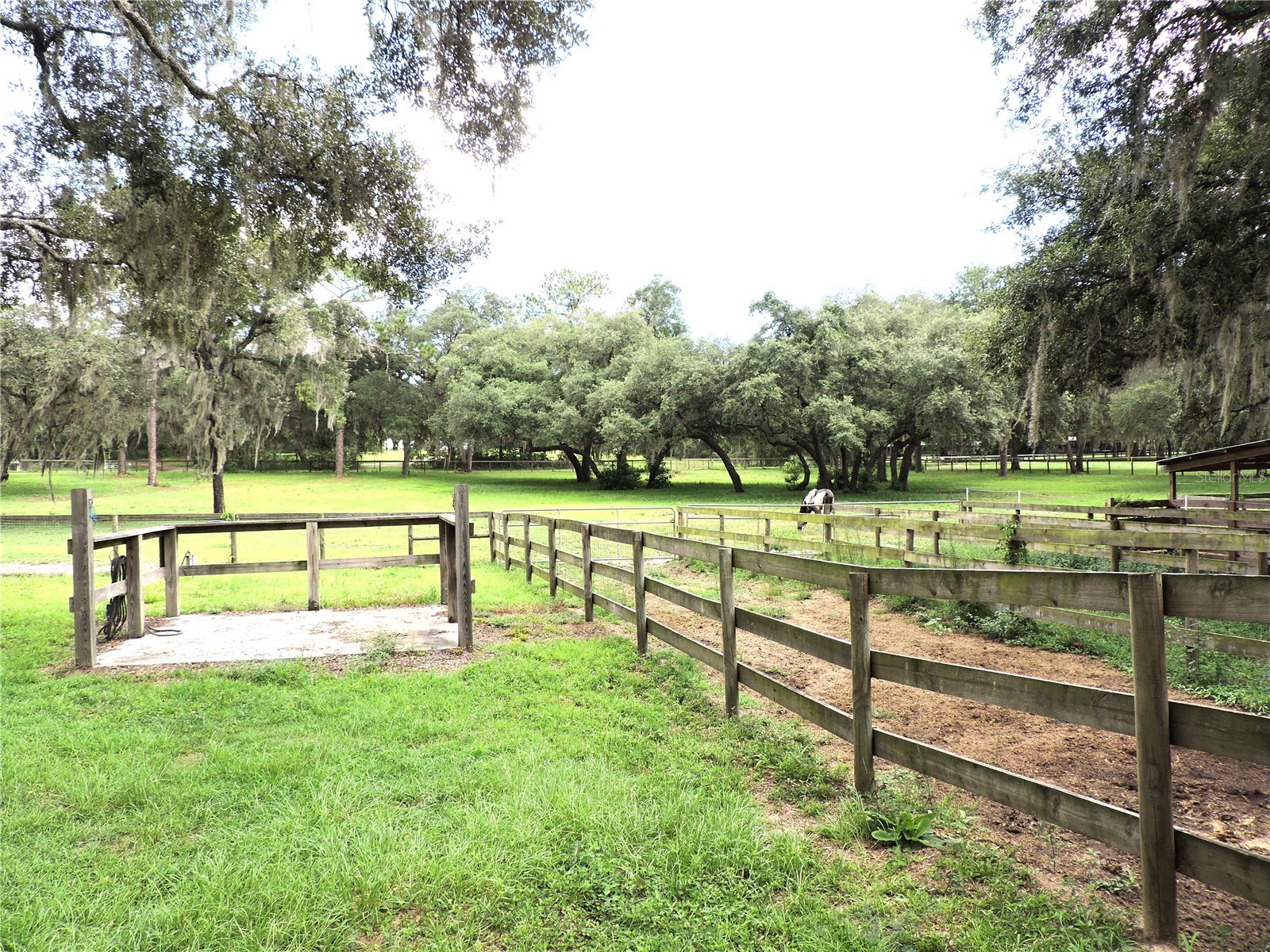 29248 Wildlife Lane Brooksville FL 34602 W7887043 image10