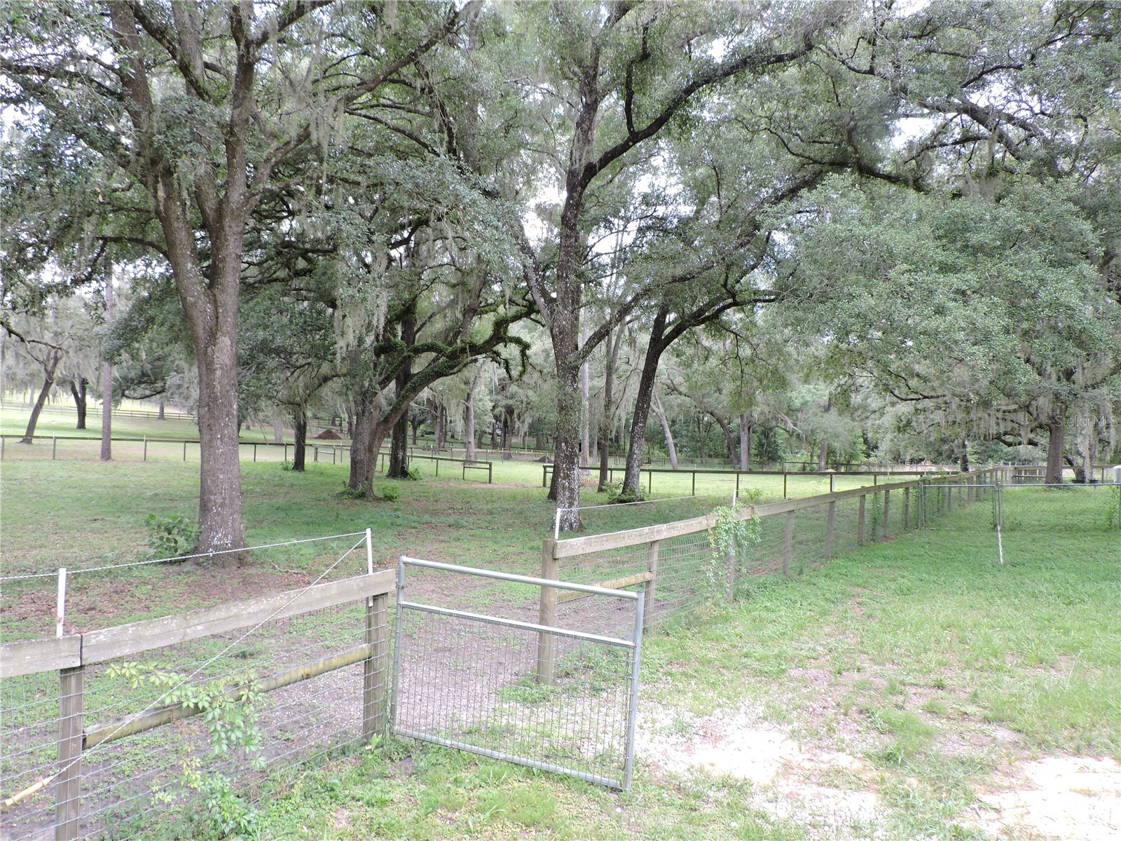 29248 Wildlife Lane Brooksville FL 34602 W7887043 image24