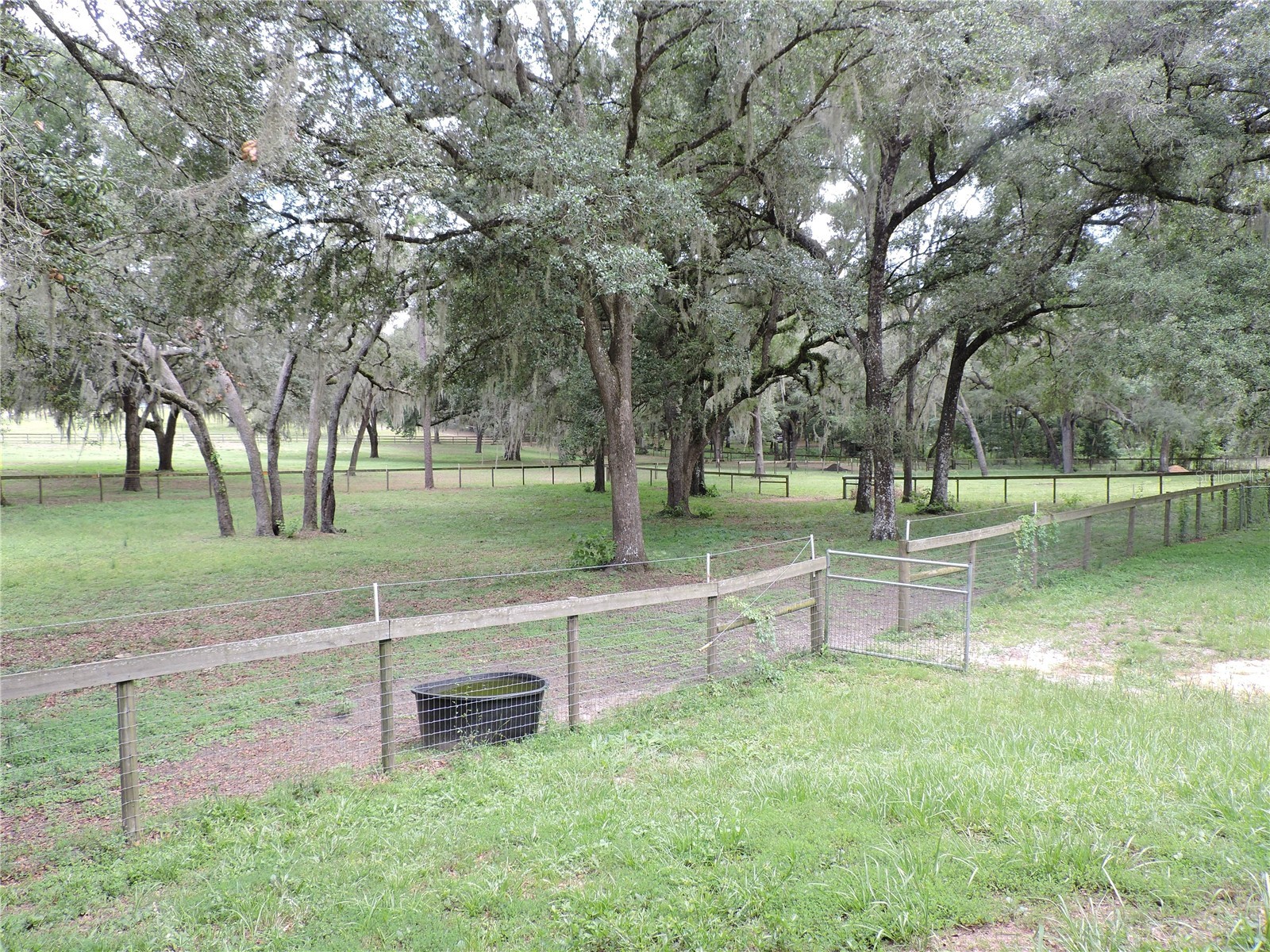 29248 Wildlife Lane Brooksville FL 34602 W7887043 image25