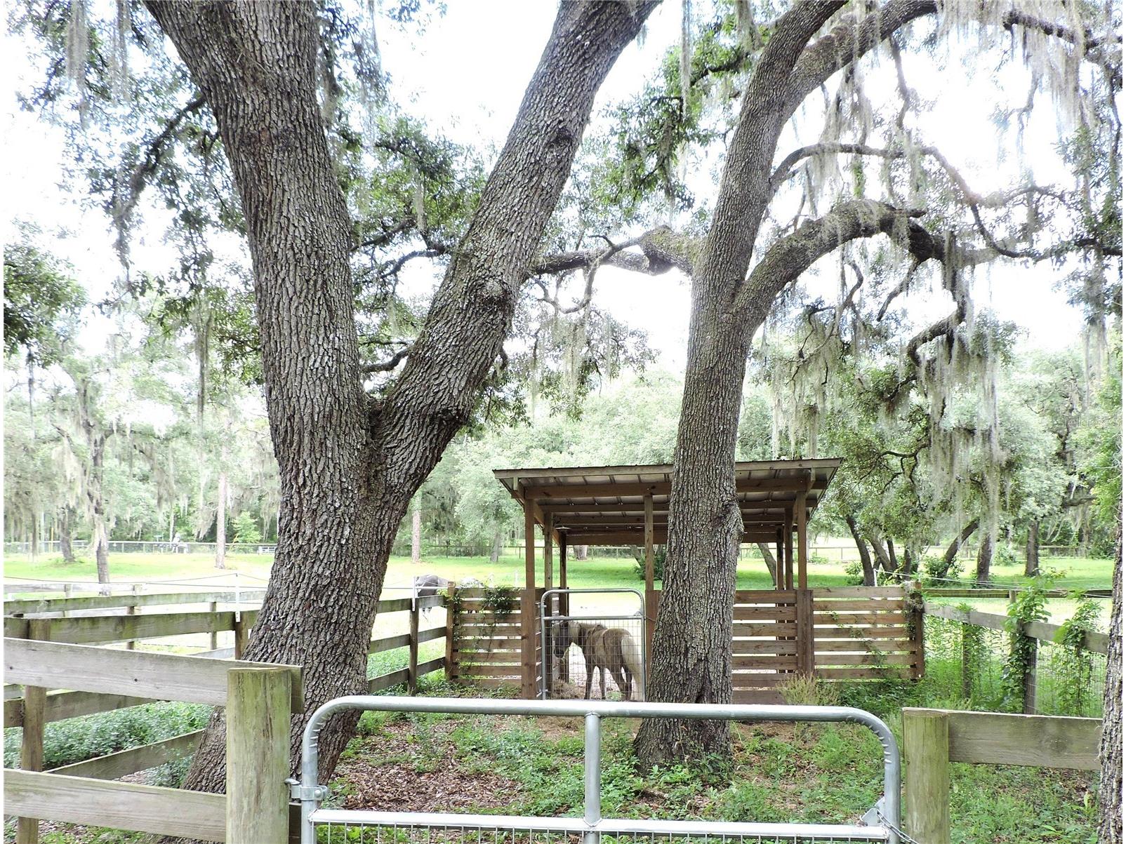 29248 Wildlife Lane Brooksville FL 34602 W7887043 image7