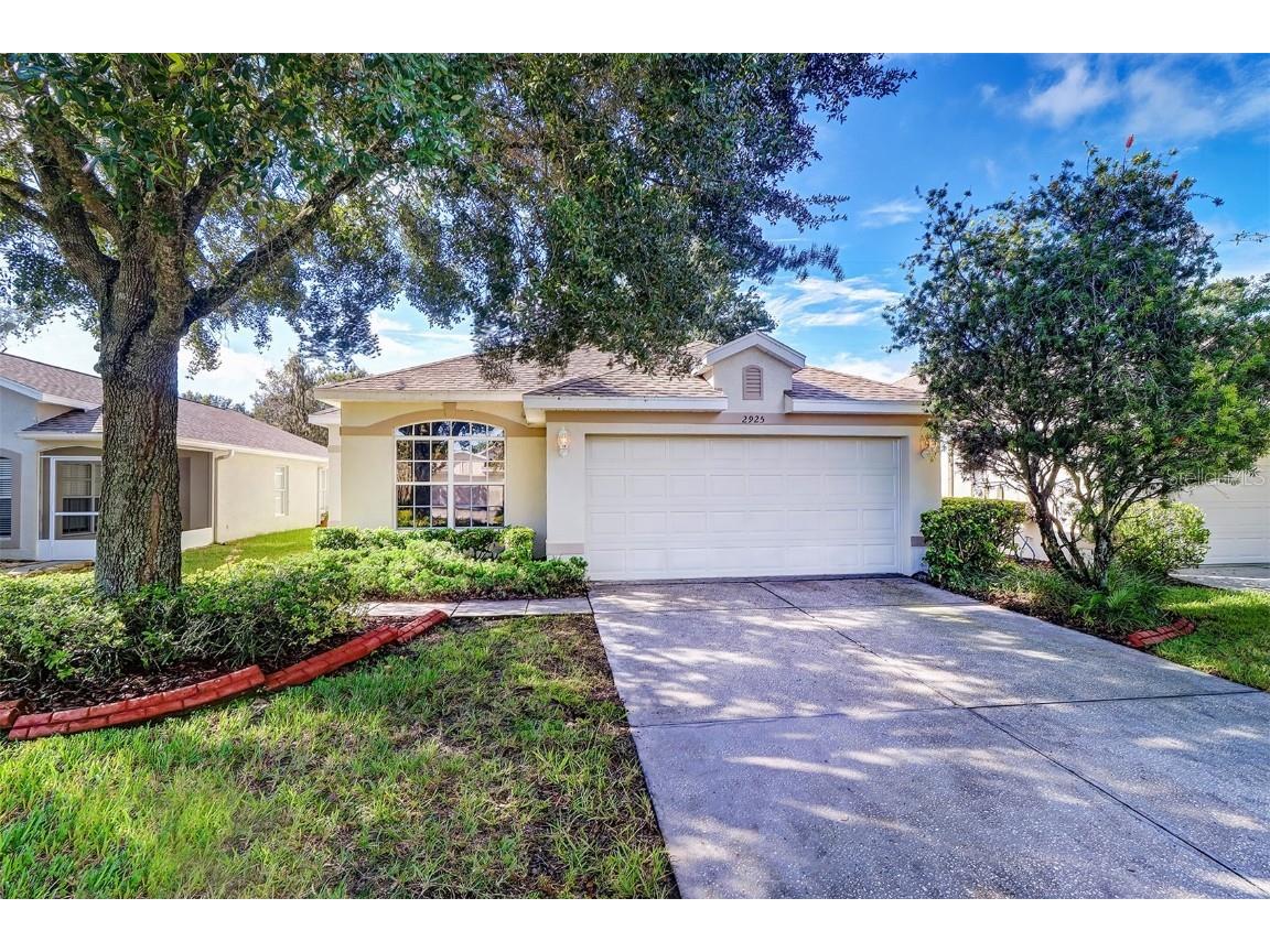 2925 Banyan Hill Lane Land O Lakes FL 34639 T3331568 image1