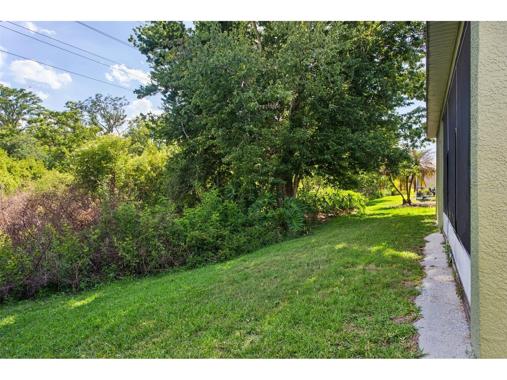 2925 Banyan Hill Lane Land O Lakes FL 34639 TB8503312 image25