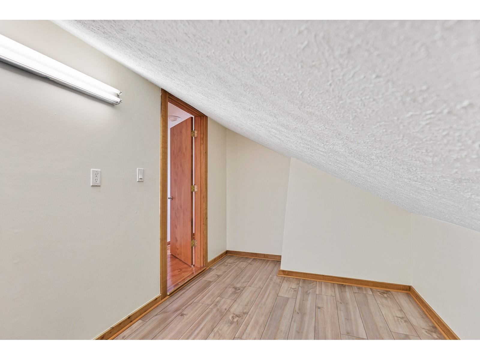 2925 Chelsea Woods Drive Valrico FL 33596 TB8495520 image39