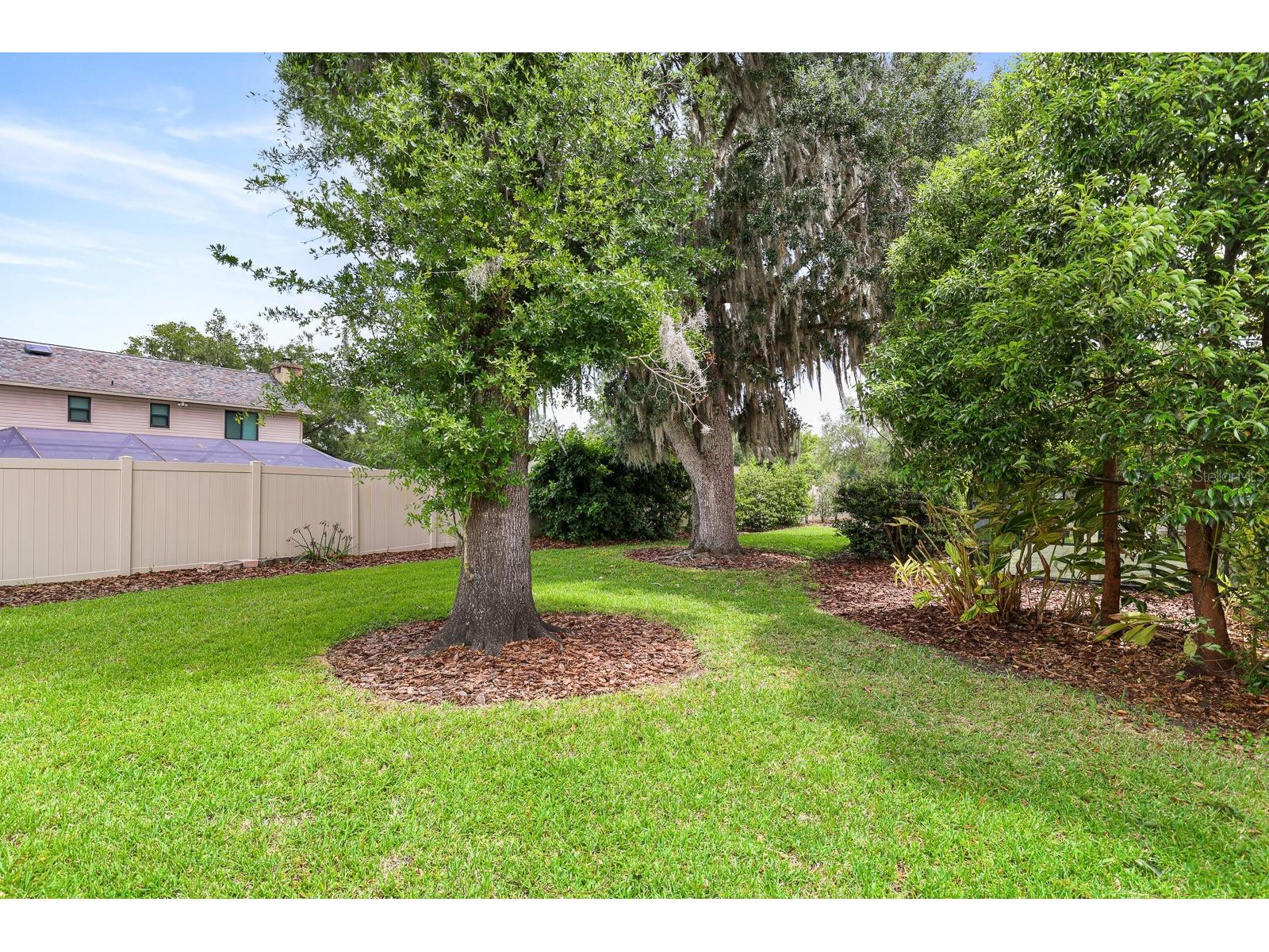 2925 Chelsea Woods Drive Valrico FL 33596 TB8495520 image45