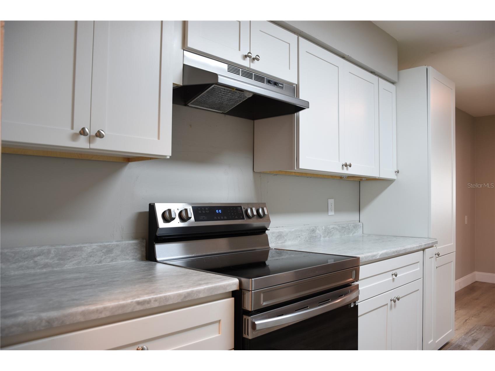 2925 Maplewood Avenue Lakeland FL 33803 L4962474 image5