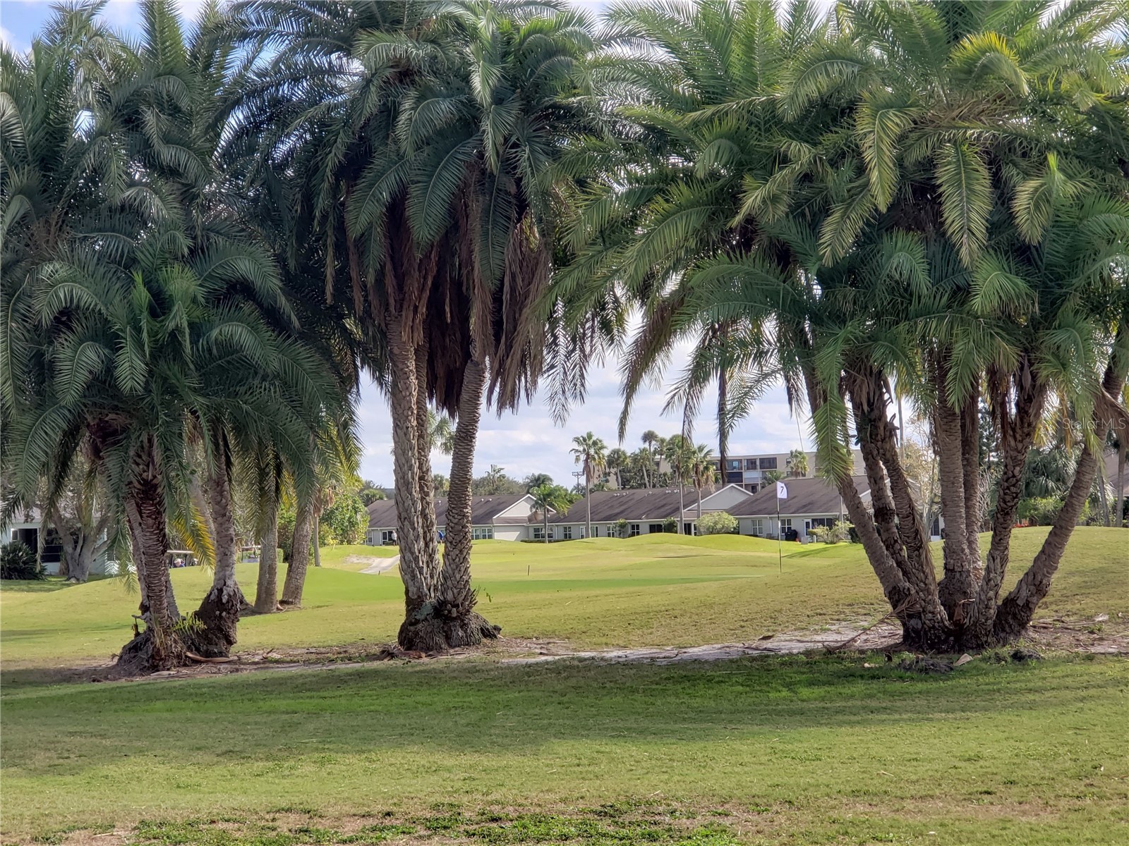 2925 Terra Ceia Bay Boulevard #2203 Palmetto FL 34221 - TERRA CEIA BAY A4694565 image36
