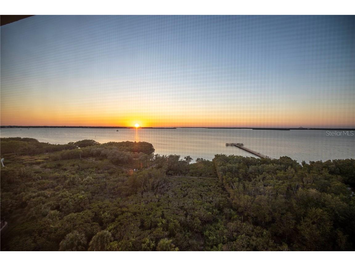 2925 Terra Ceia Bay Boulevard #2802 Palmetto FL 34221 U8192966 image1