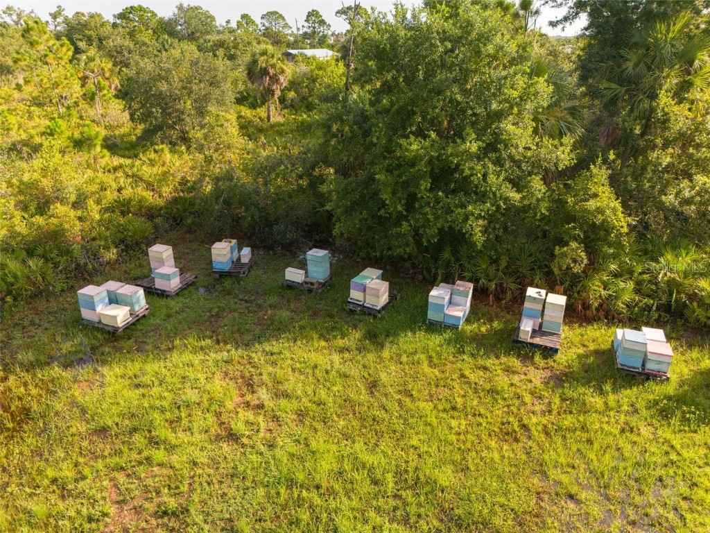 2925 Vance Terrace Port Charlotte FL 33981 - ANDERSON AND MYAKKA RIVER D6137863 image10